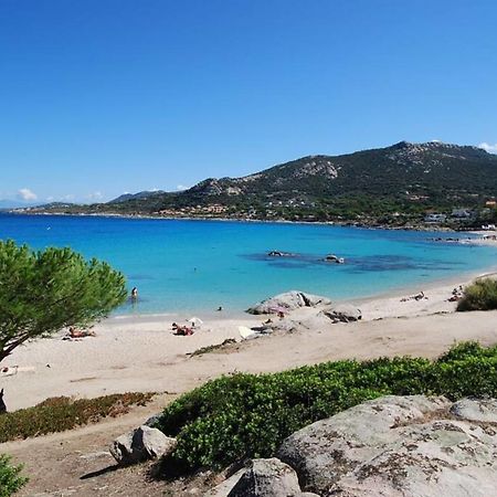 L'Orangeraie Calvi Centre A 300M De La Plage Et Du Port Parking Prive Exterior foto