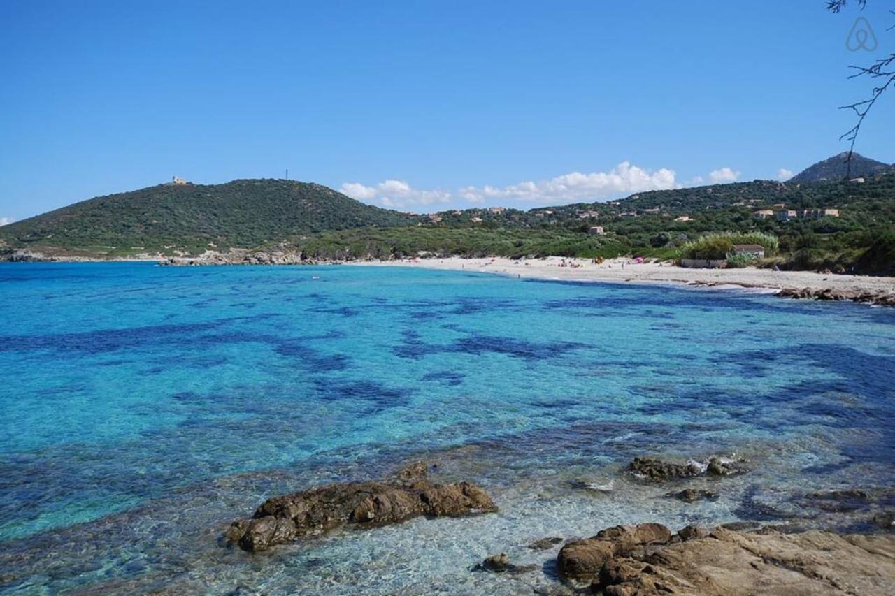 L'Orangeraie Calvi Centre A 300M De La Plage Et Du Port Parking Prive Exterior foto